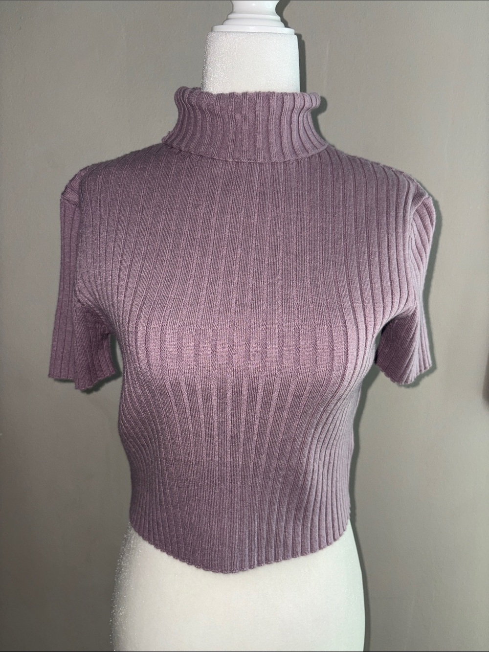 Vici - Ribbed Short Sleeve Turtleneck Crop Top - Dusty Purple